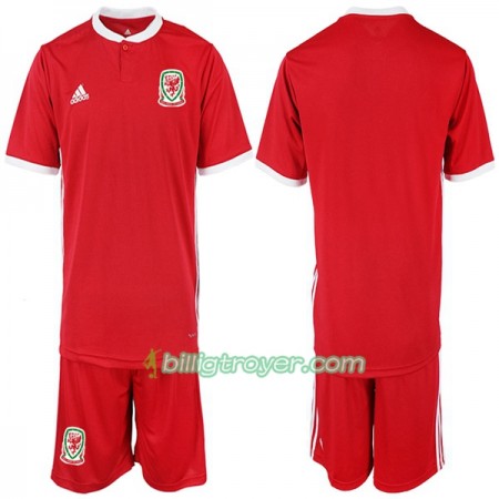 Billige Fotballdrakter Wales Barn Hjemmedraktsett 2018/19 Kortermet